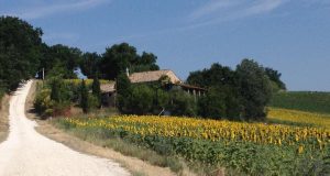 B&B Casale Vallevecchie