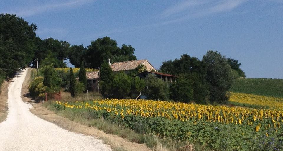 B&B Casale Vallevecchie