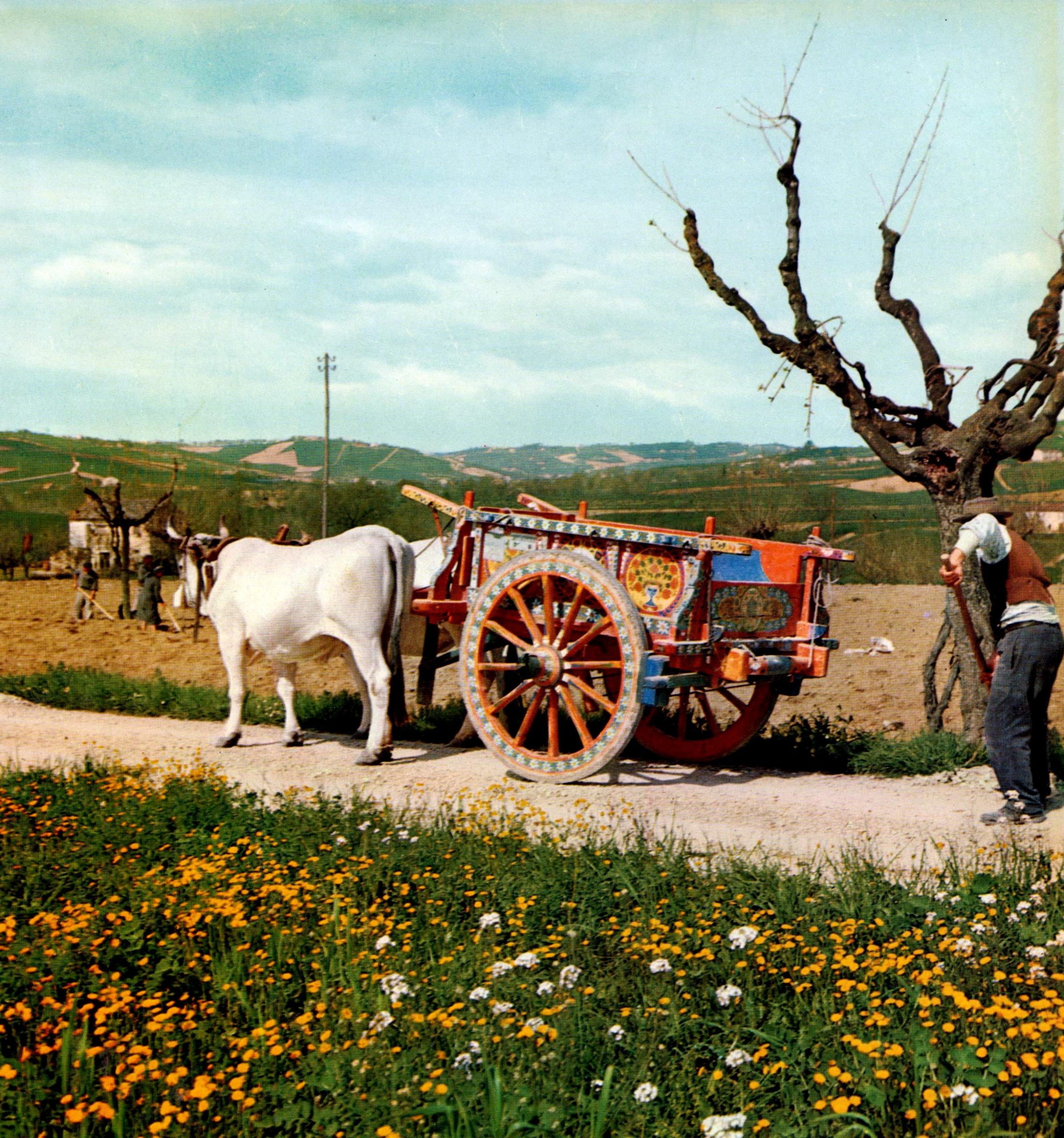 Immagine della destinazione