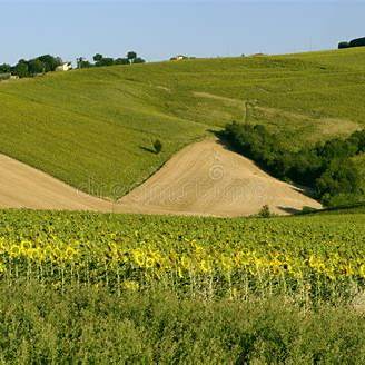 Img Natura, Sport e Svago