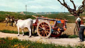 San Cristoforo – Museo Beltrami/Biroccio