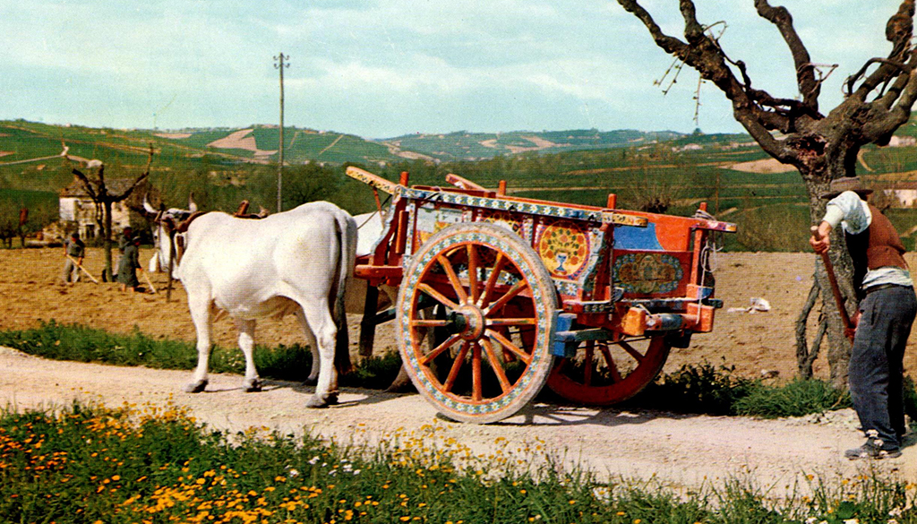 San Cristoforo – Museo Beltrami/Biroccio